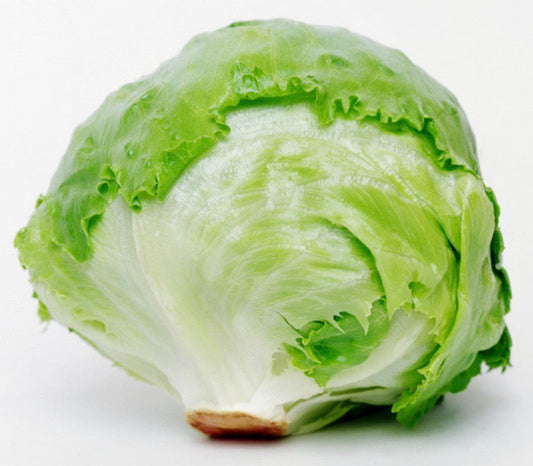 Iceberg Lettuce