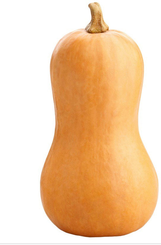 1 Butternut Squash