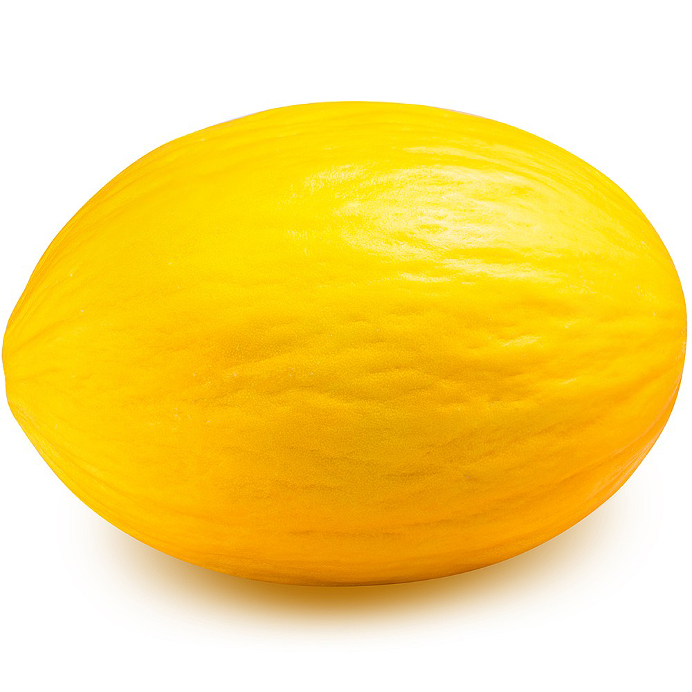 Honeydew Melon