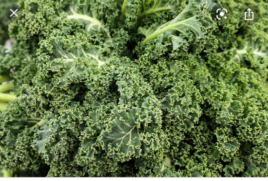 British Kale Per Bag