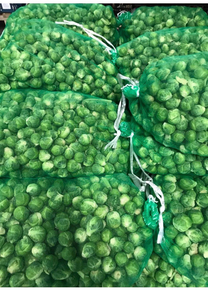 Sprouts