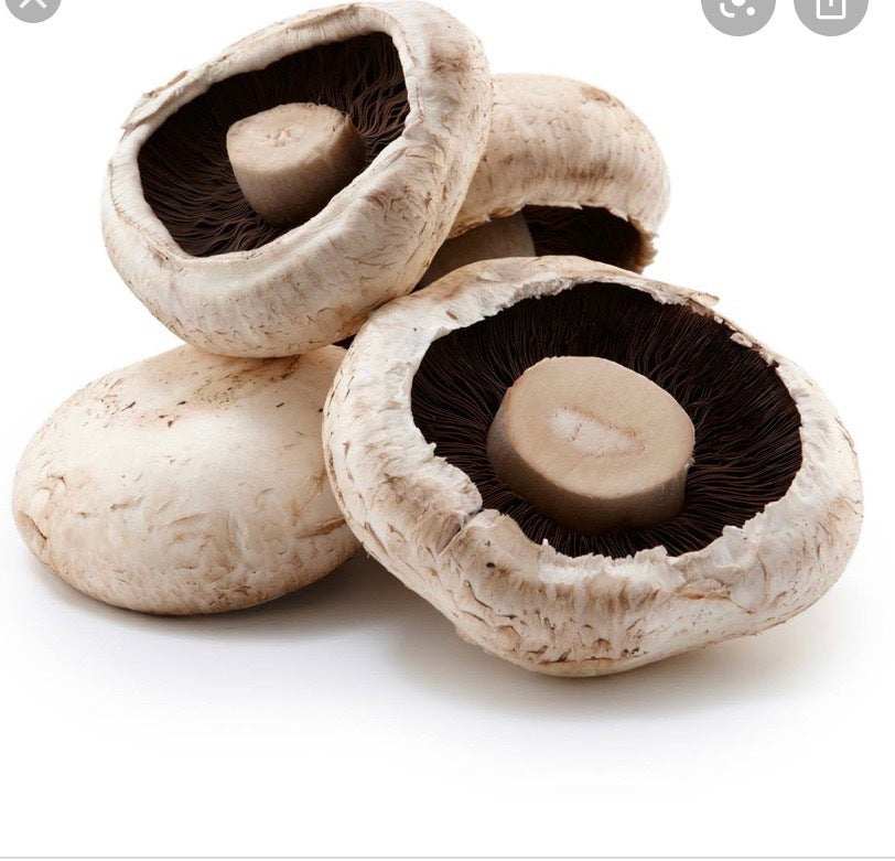 Flat Mushroom Per 500g