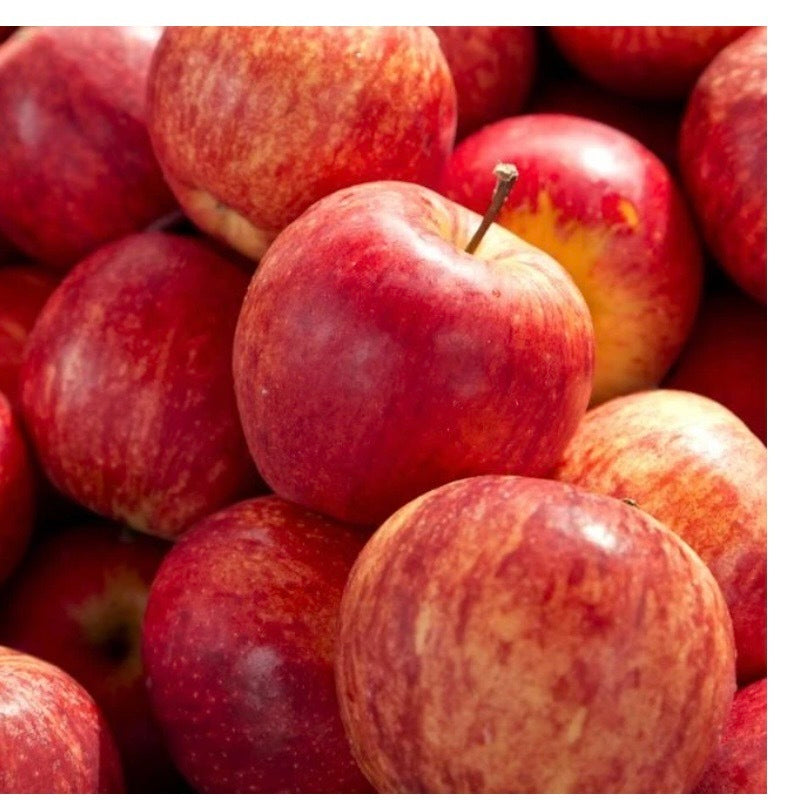 Gala Apples ( 4 )