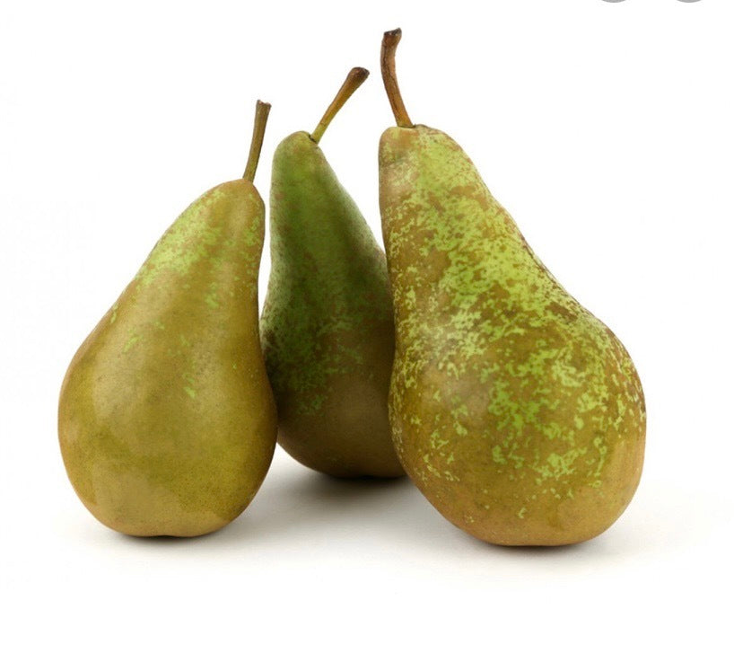 Conference Pears ( 3 )